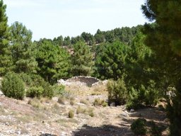 Valle de Leiva-Perdiz 2010